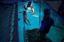 Late night manta ray snorkel experience
