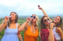 Tuscany wine tour from Florence
