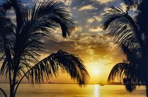 Miami happy hour sightseeing sunset cruise