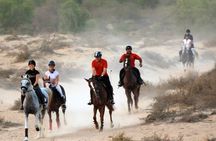 Horseback ride through Dubai desert park