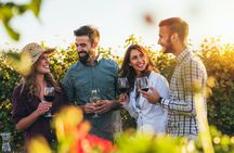 Full-day Mount Tamborine winery tour from Brisbane with lunch