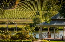 Wine tasting tour at Josef Chromy Wines