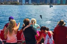 Daytime Waikiki glass-bottom boat tour