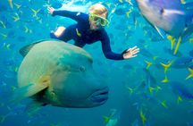 Ocean rafting northern exposure tour and snorkelling time