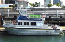 3-hour catamaran whale watching tour in Victoria