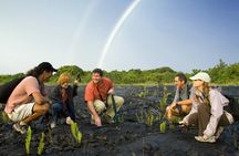 Hiking tour of Hawaii Volcanoes National Park