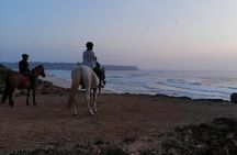 Sunset Bordeira beach horse riding guided tour