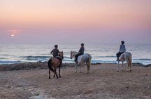 Sunset Bordeira beach horse riding guided tour