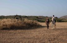 Picadero horse riding for children from Carrapateira