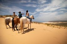 Discover Carrapateira horse riding tour