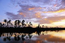 Everglades National Park full-day adventure tour with dry hike