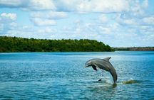 Everglades National Park full-day adventure tour with dry hike