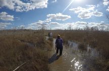 Everglades National Park full-day adventure tour with wet hike