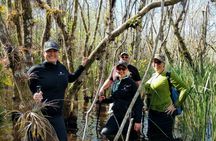 Everglades National Park full-day adventure tour with wet hike