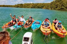 Florida Keys marine eco-adventure