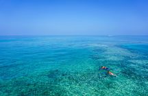 Florida Keys marine eco-adventure