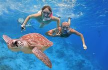 Florida Keys marine eco-adventure