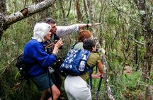 Nature tour of Hakalau Forest Reserve