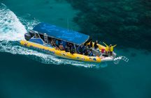 Half-day ocean safari Great Barrier Reef adventure