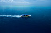 Half-day ocean safari Great Barrier Reef adventure