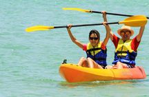 Noosa Dolphin View Sea Kayak and Beach 4X4 Adventure Day Tour