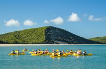 Noosa Dolphin View Sea Kayak and Beach 4X4 Adventure Day Tour