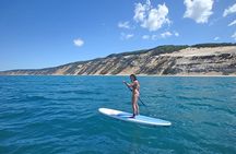 Stand Up paddle wildlife tour and beach 4x4 Noosa day trip
