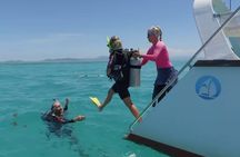 Reef Daytripper full day snorkel and scuba diving in Cairns