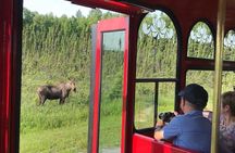 Deluxe city trolley tour in Anchorage