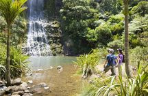 Auckland full-day luxury private tour