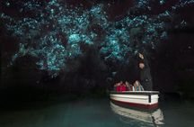 Auckland Waitomo Caves and Hobbiton movie set private tour