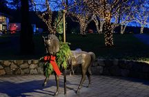 Christmas guided tour of Victoria and the Butchart Gardens