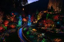 Christmas guided tour of Victoria and the Butchart Gardens