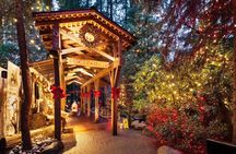 Vancouver and Capilano Canyon lights Christmas guided tour
