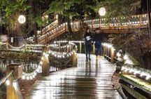 Vancouver and Capilano Canyon lights Christmas guided tour