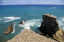 Auckland Kumeu Country private tour with lunch and wine tasting