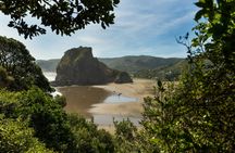 Auckland Kumeu Country private tour with lunch and wine tasting