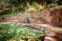 Guided hike in Araluen botanic park