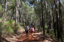 Guided hike in Araluen botanic park