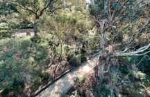 Guided Hike of the highlights of Kings Park