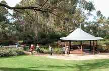 Guided Hike of the highlights of Kings Park