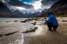 Arctic nature tour
