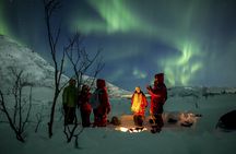 Northern lights tour