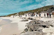 Guided Hike of Rottnest Island, lakes and bays