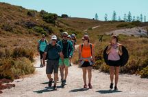 Guided Hike of Rottnest Island, lakes and bays