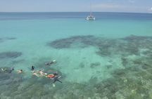 Reef Daytripper full day snorkel and scuba diving in Cairns