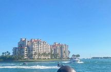 Miami sightseeing bus tour with cruise and Everglades airboat