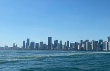 Miami sightseeing bus tour with cruise and Everglades airboat