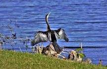 Everglades National Park full-day tour with round-trip transfer