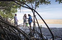 Full-day Daintree and traditional Aboriginal fishing experience